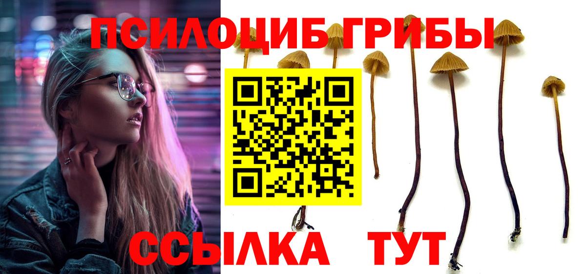 Галлюциногенные грибы Psilocybe  Вход с VPN  Топки 