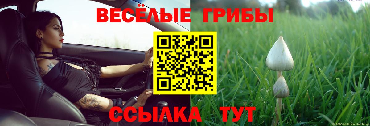 Галлюциногенные грибы прущие грибы Топки